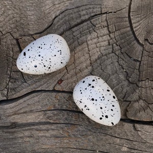 White Speckled Wood Bird Eggs in White with Black Speckles, Set of 2 Eggs, Small Bird Eggs DIY Millinery Hat Craft Supply, Fake Nest Eggs