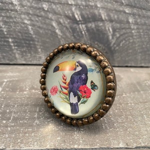 May include: A round, brass-colored cabinet knob with a glass insert featuring a toucan with a yellow beak and black and purple feathers, surrounded by tropical flowers and a butterfly.