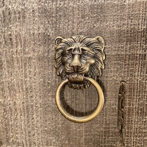 Metal Knob Lion Head Cast Iron Hanging Pull Knob Etsy