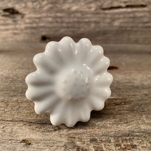 Pu&ograve; includere: Un pomello per armadio a forma di margherita in ceramica bianca. Il pomello ha un centro strutturato e dettagliato e bordi smerlati, che ricordano un fiore. Il pomello &egrave; appoggiato su una superficie di legno invecchiato.