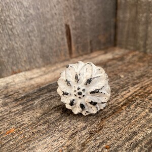 Gietijzeren knop witgewassen bloemenlade metalen meubelknop, geïnspireerd op boerderij landelijk strand