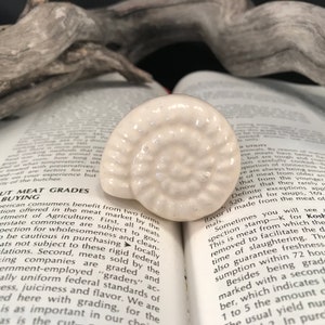 Ceramic Knob, Shell Ceramic Knob, Seashell Sea Animal Home Decorative Knob Dresser Drawer Upgrade Pulls, Cabinet Supply