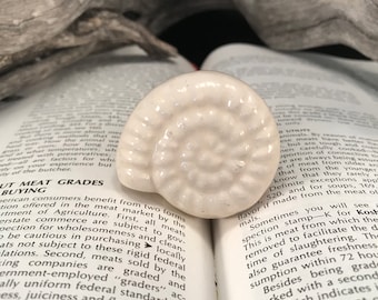 貝殻セラミックノブ、航海風ドレッサー引き出し取っ手