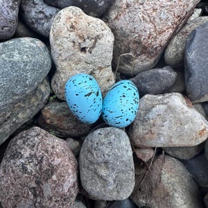 Holzeier Handbemalt Realistisch Gesprenkelt, 2er Set, DIY Craft Hat Hutmacher Zubehör