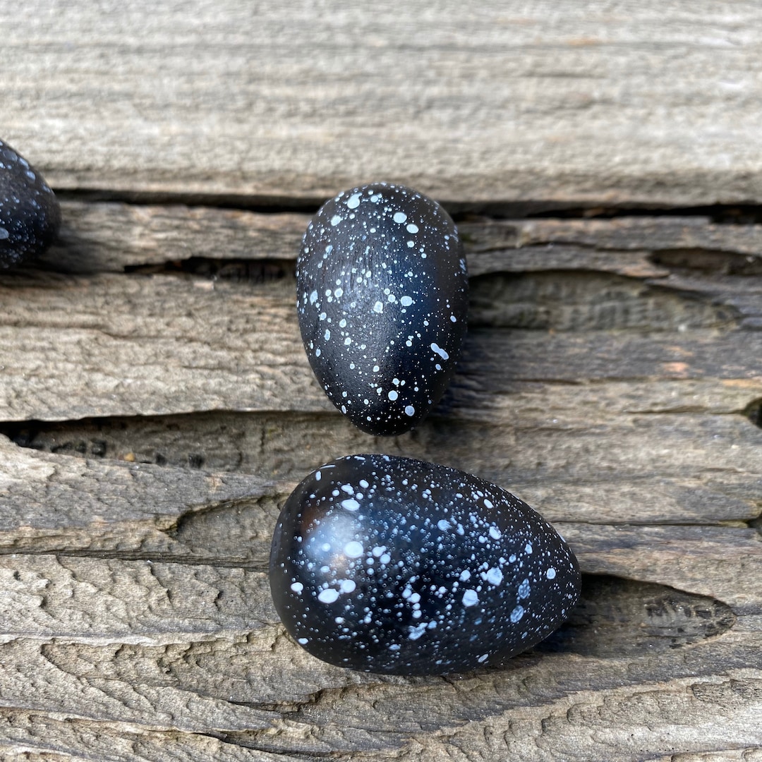 Black With White Speckles Wood Bird Eggs, Set of 2 Eggs, Small Bird