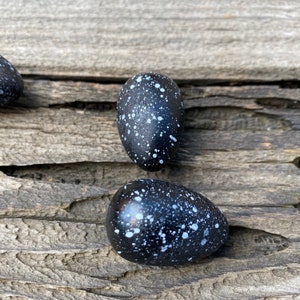 Black with White Speckles Wood Bird Eggs, Set of 2 Eggs, Small Bird Eggs DIY Millinery Hat Craft Supply, Fake Nest Egg