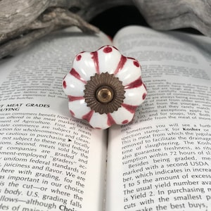 May include: A white ceramic knob with red and white stripes and red polka dots. The knob has a gold metal centre.
