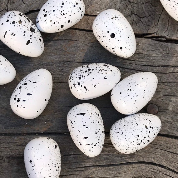 White Speckled Wood Bird Eggs In White With Black Speckles Etsy