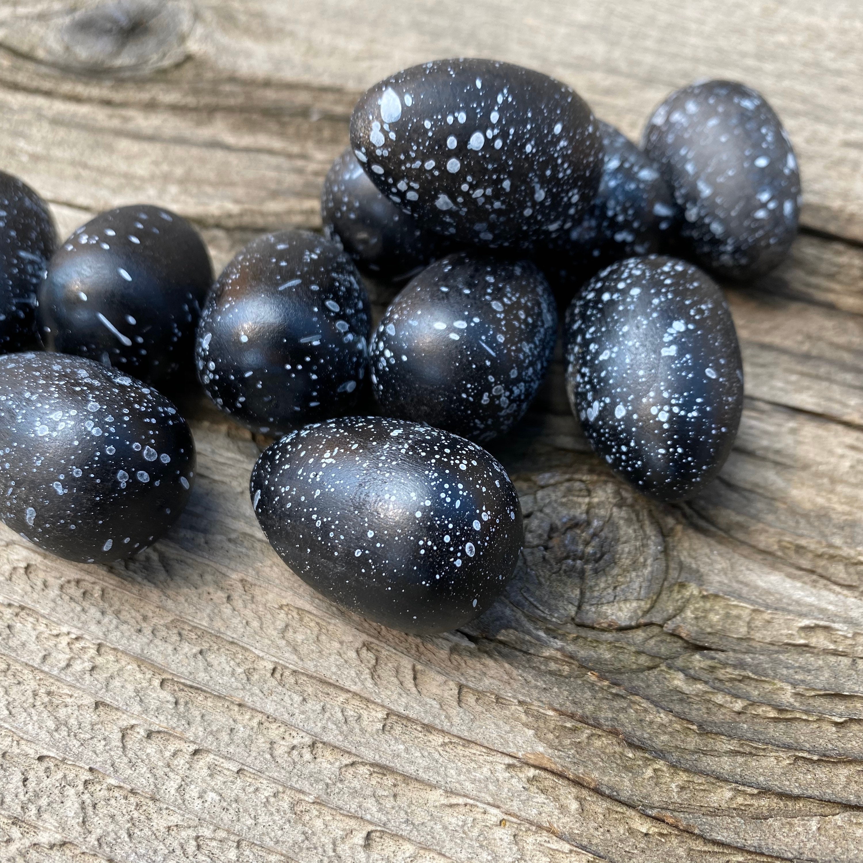 Black With White Speckles Wood Bird Eggs Set of 2 Eggs Small Etsy