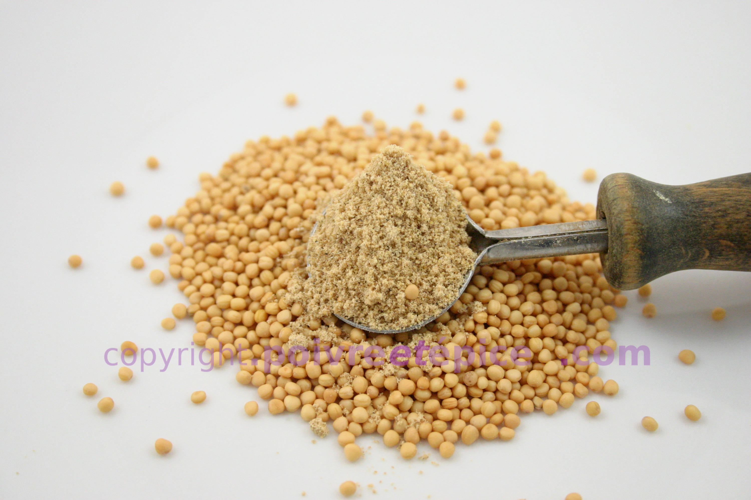MUSTARD SEED powder