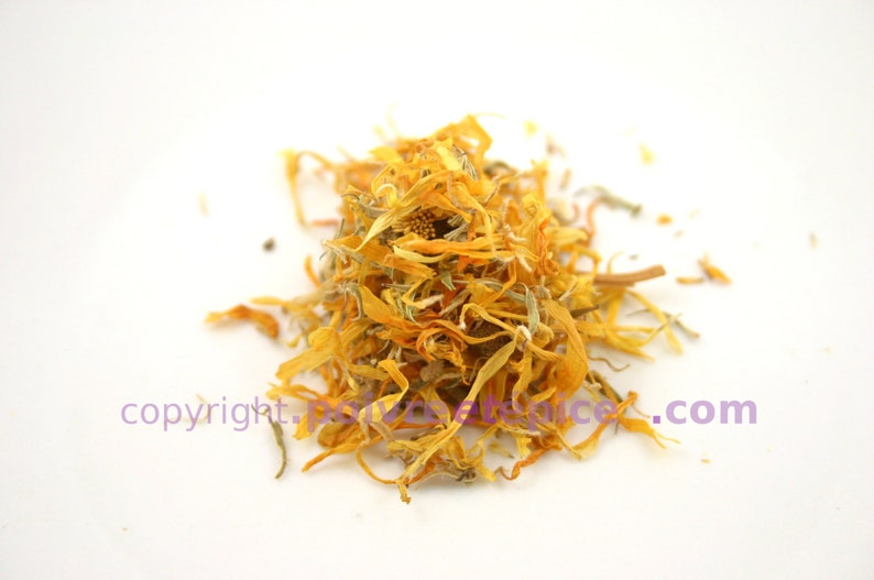 MARIGOLD flower Flower