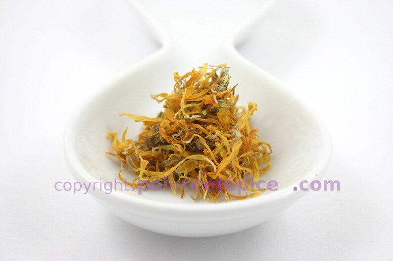 MARIGOLD flower Flower