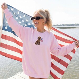 May include: A light pink sweatshirt featuring an embroidered brown dog holding a small American flag. The dog is centered on the chest. The background includes an American flag and a body of water.