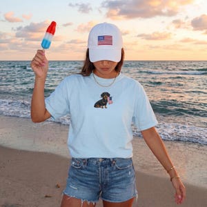 Op de afbeelding: Een lichtblauw T-shirt met een teckel met een Amerikaanse vlag, gecombineerd met een spijkerbroek en een witte baseballcap met een Amerikaanse vlag. Een rood, wit en blauw ijsje wordt in de hand gehouden.