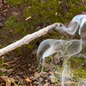 White Copal Incense | Sacred Ceremonial Mayan Copal Incense, Natural, Authentic, Ethically Sourced, Sustainably Harvested | Elemante