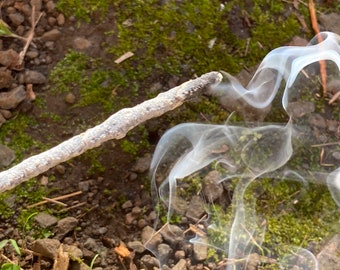 Peut inclure: Gros plan sur un bâton fumant avec de la fumée blanche qui s'en élève. Le bâton est posé sur un lit de mousse verte et de terre brune.