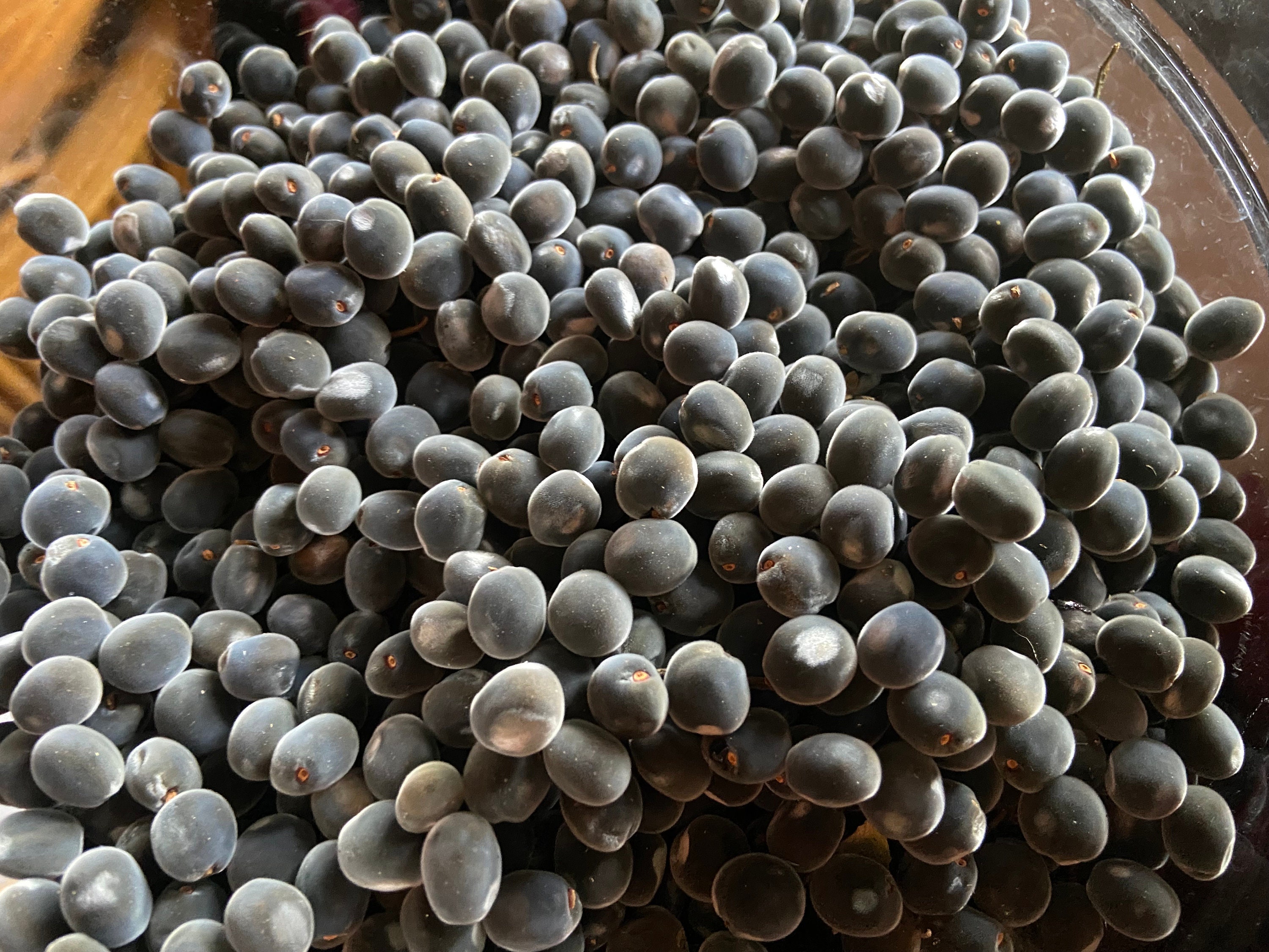 SALE! Mgambo Seeds | Hawaiian Velvet Pearls | Undrilled SALE! Mgambo Seeds | Hawaiian Velvet Pearls | Undrilled