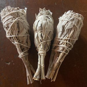 White Sage Bundle | Sage Torch, Sticks, Wand | Cleanse & Purify Aura, Sacred Space | Ceremonial Incense, Smudge, Sustainaby Wild Crafted