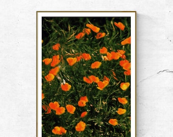 Wellenförmige Mohnblumen // Herunterladbarer Druck // Digitales zeitgenössisches Kunstwerk