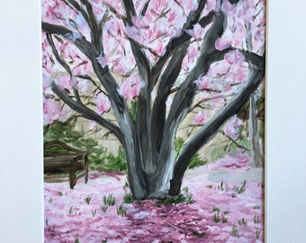 Springtime Magnolia in Washington DC