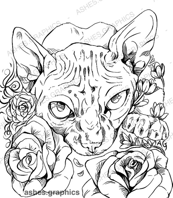 540 Coloring Book Roses Best HD