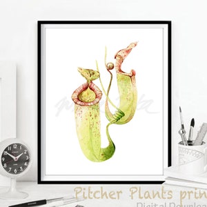 May include: Watercolour painting of two pitcher plants in shades of green and red. The print is titled "Pitcher Plants print" and says "Digital Download" below the title. The artwork is on a black frame example. The frame is not included.