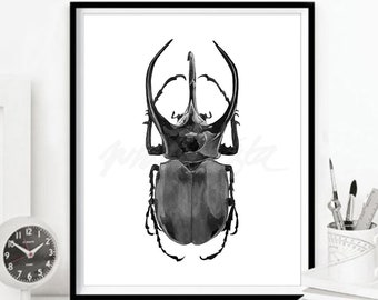 Bug Artwork Printable Black Stag Wall Art Beetle Print Wild Insect Stag Illustration Poster Home Decor Watercolour Painting DIGITAL DOWNLOAD