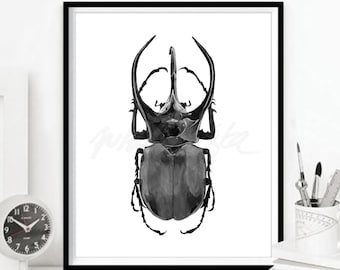 May include: Black and white watercolor illustration of a beetle with large horns. The beetle is facing the viewer and is centered in the image. The background is white.