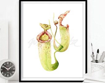 Pitcher plants watercolour art prints, flytrap botanical illustration digital home decor wall art nature painting   DIGITAL DOWNLOAD