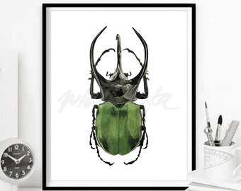 Beetle Wall Art Watercolour Prints Green Stag Beetles Printable Bug Figurine Fighting Dung Poster Insect Illustration Decor DIGITAL DOWNLOAD