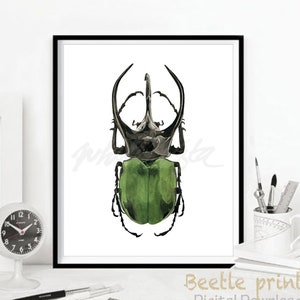 May include: A digital download of a watercolor painting of a green and black beetle with large horns. The beetle is depicted against a white background.