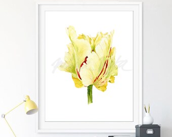 Tulip Wall Art Prints Parrot Tulip Watercolor Painting Floral Poster Flower Illustration Printable Yellow Plants Home Decor DIGITAL DOWNLOAD