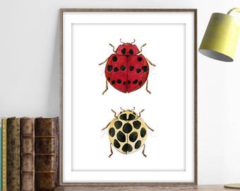Insect Print, Lady Bug, Beetle Poster, Illustration Print Insect Art Print, 8 x 10 Print, 16 x 20 Print, Nordic Print Decor DIGITAL DOWNLOAD