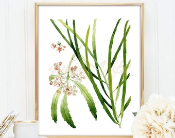 BOTANICAL prints watercolour plant illustration wall art, Botanical prinable poster flower botanical art green leaves print DIGITAL DOWNLOAD