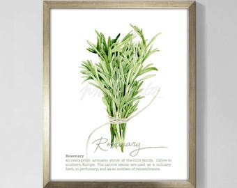 Herbs Prints Rosemary Wall Art Vegan Kitchen Home Decor Greenery Poster Illustration Culinary Printable Cooking Watercolor DIGITAL DOWNLOAD