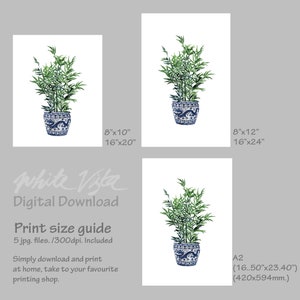 May include: Digital download print of a watercolor painting of a potted bamboo plant with blue and white porcelain pot. The print is available in 8x10, 16x20, 8x12, 16x24, and A2 (16.50x23.40 inches) sizes.