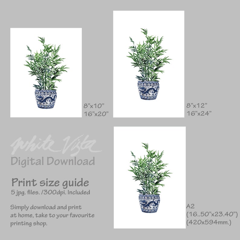 May include: Digital download print of a watercolor painting of a potted bamboo plant with blue and white porcelain pot. The print is available in 8x10, 16x20, 8x12, 16x24, and A2 (16.50x23.40 inches) sizes.