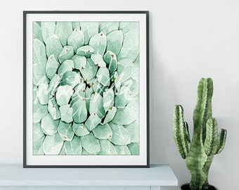 Succulent Wall Art Desert Plant Printable Cactus Garden Poster Mint Nordic Houseplant Mint Green Decor Watercolour Agave DIGITAL DOWNLOAD