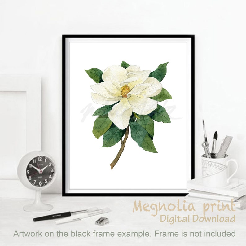 May include: A watercolor painting of a white magnolia flower with green leaves. The flower is in bloom and has a yellow center. The painting is on a white background.