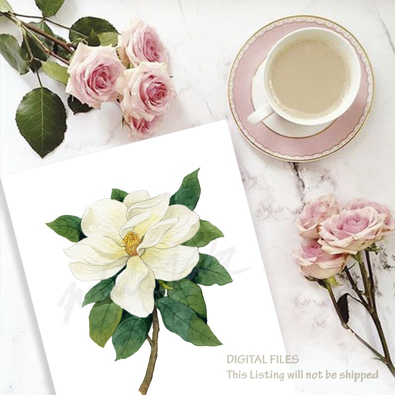 May include: A watercolor painting of a white magnolia flower with green leaves. The flower is in bloom and has a yellow center. The painting is on a white background.
