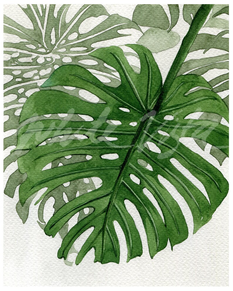 Tropical Wall Art Print Set of 4 Palm Banana Monstera Leaf Etsy