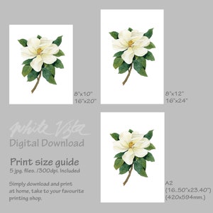 May include: A digital download of a watercolor painting of a white magnolia flower with green leaves. The image is available in five sizes: 8x10 inches, 16x20 inches, 8x12 inches, 16x24 inches, and A2 (16.50x23.40 inches).