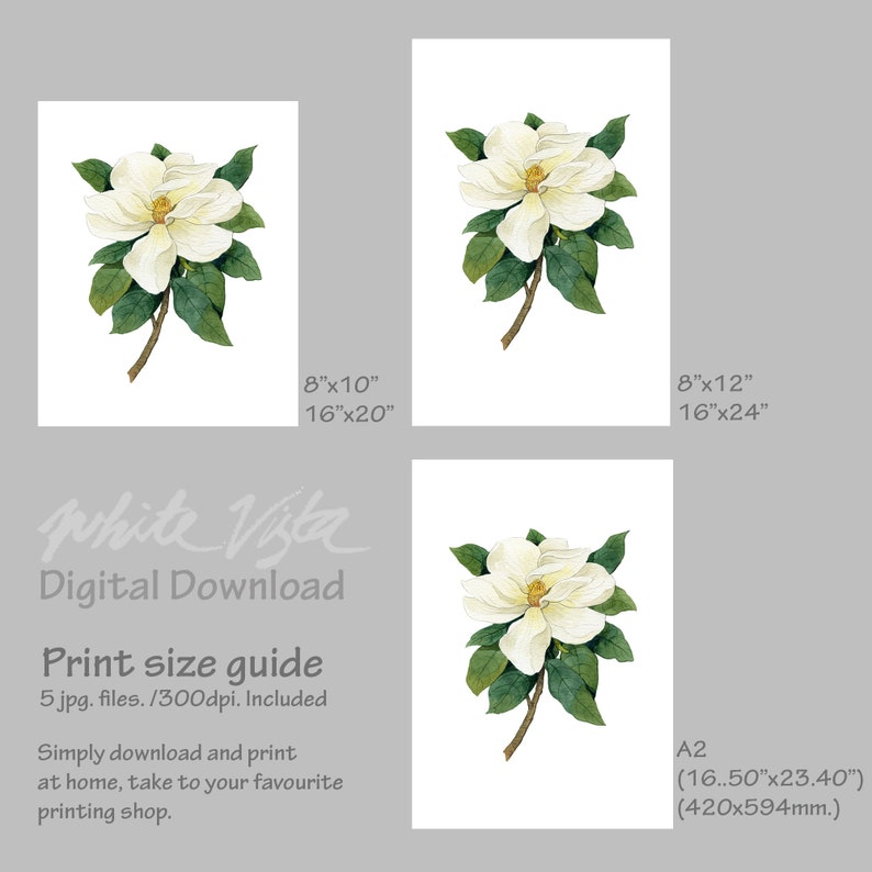 May include: A digital download of a watercolor painting of a white magnolia flower with green leaves. The image is available in five sizes: 8x10 inches, 16x20 inches, 8x12 inches, 16x24 inches, and A2 (16.50x23.40 inches).