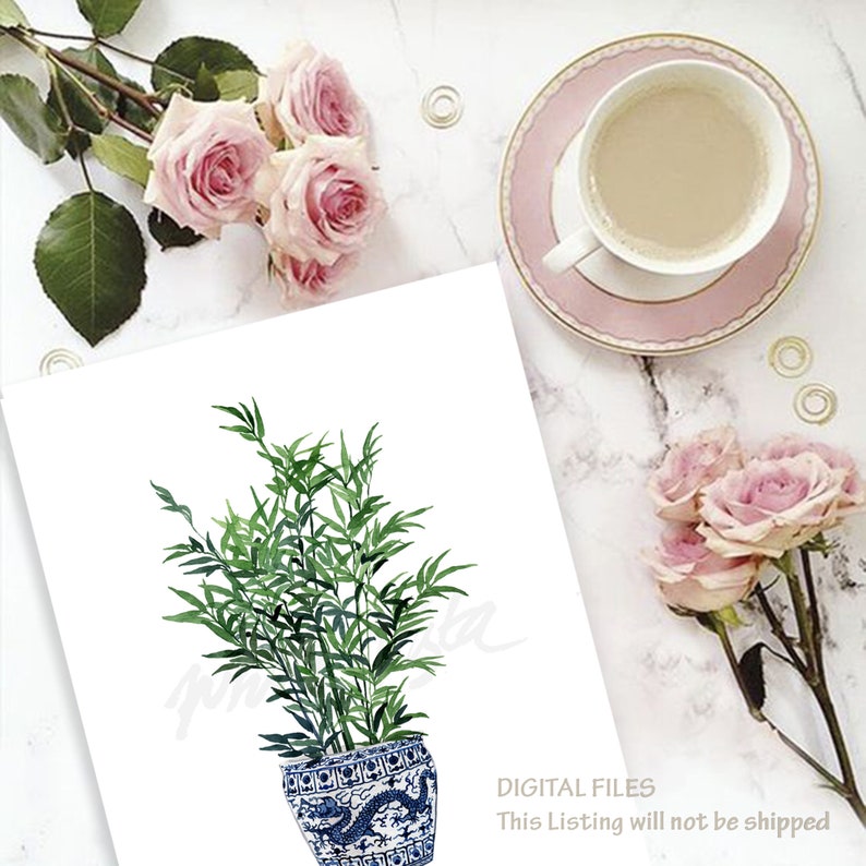 May include: A watercolor illustration of a green leafy plant in a blue and white ceramic pot with a dragon design. The pot is on a white background.