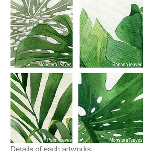 K&ouml;nnte beinhalten: Eine Collage aus vier Aquarellbildern mit Nahaufnahmen verschiedener Blattarten. Das Bild oben links zeigt ein gr&uuml;nes Monstera-Blatt mit L&ouml;chern. Das Bild oben rechts zeigt ein gr&uuml;nes Bananenblatt. Das Bild unten links zeigt ein gr&uuml;nes Palmblatt. Das Bild unten rechts zeigt ein gr&uuml;nes Monstera-Blatt.