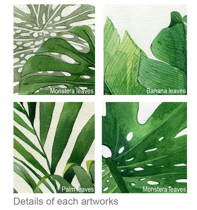 K&ouml;nnte beinhalten: Eine Collage aus vier Aquarellbildern mit Nahaufnahmen verschiedener Blattarten. Das Bild oben links zeigt ein gr&uuml;nes Monstera-Blatt mit L&ouml;chern. Das Bild oben rechts zeigt ein gr&uuml;nes Bananenblatt. Das Bild unten links zeigt ein gr&uuml;nes Palmblatt. Das Bild unten rechts zeigt ein gr&uuml;nes Monstera-Blatt.