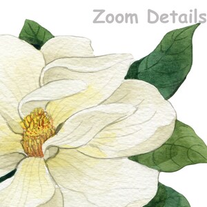 May include: A close-up of a white magnolia flower with a yellow center. The flower is partially open, revealing the delicate petals. The flower is surrounded by green leaves.