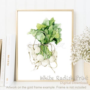 Vegetable Print ,Kitchen Print, White Radish, Veggie Print Kitchen Poster Painting nature green Vegetable kitchen wall art DIGITAL DOWNLOAD
