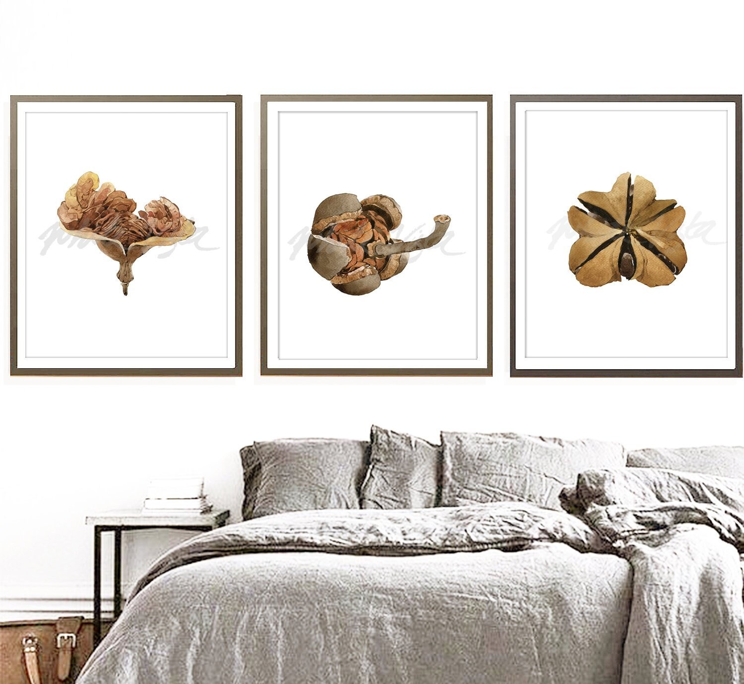 Seed Pods Art Print Set of 3 Botanical Artworks Plant Art Printable Minimalist Home Wall Decor Downloadable Tropical Plants DIGITAL DOWNLOAD