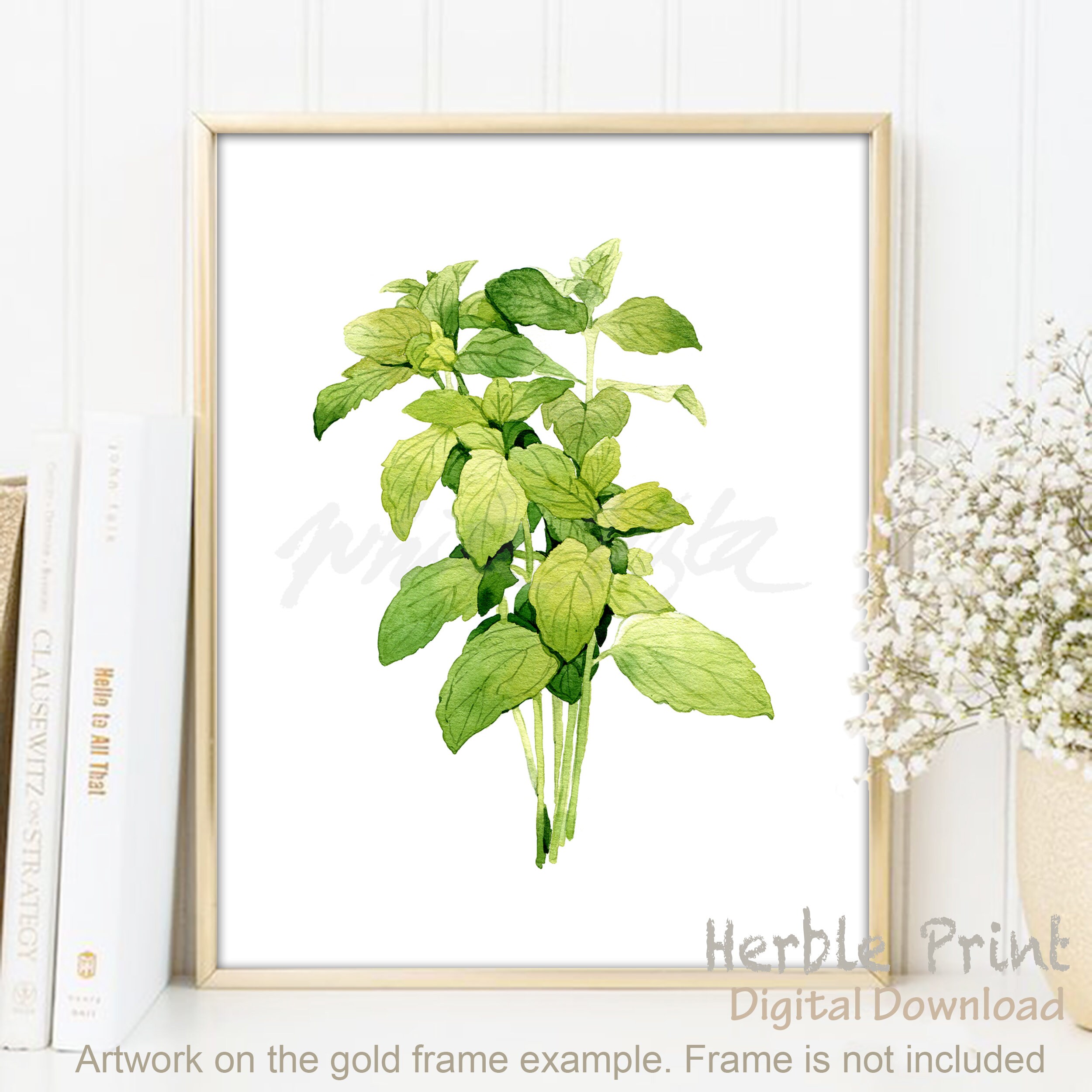 Herb Wall Art Kitchen Decor Mints Herbs Printable Botanical Etsy